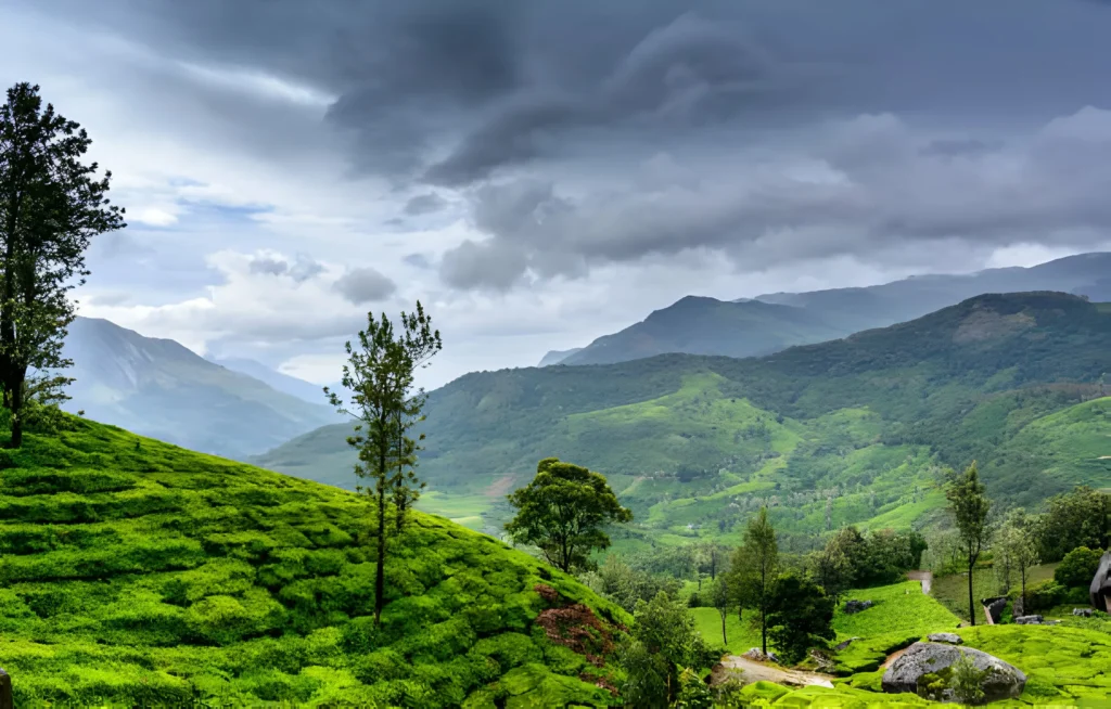 Wayanad monsoon travel