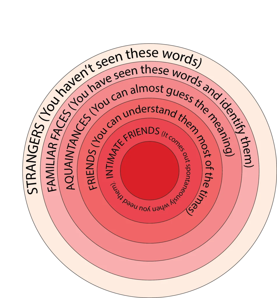 Vocabulary _Socialising